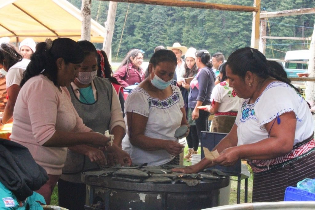 Octava edición de la Feria del Hongo (Chjo) Tlahuica 2022
