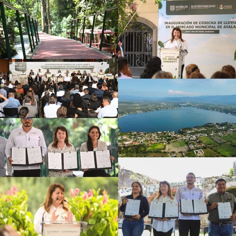 Para el Gobierno de Morelos el medio ambiente es de alta prioridad: Margarita González