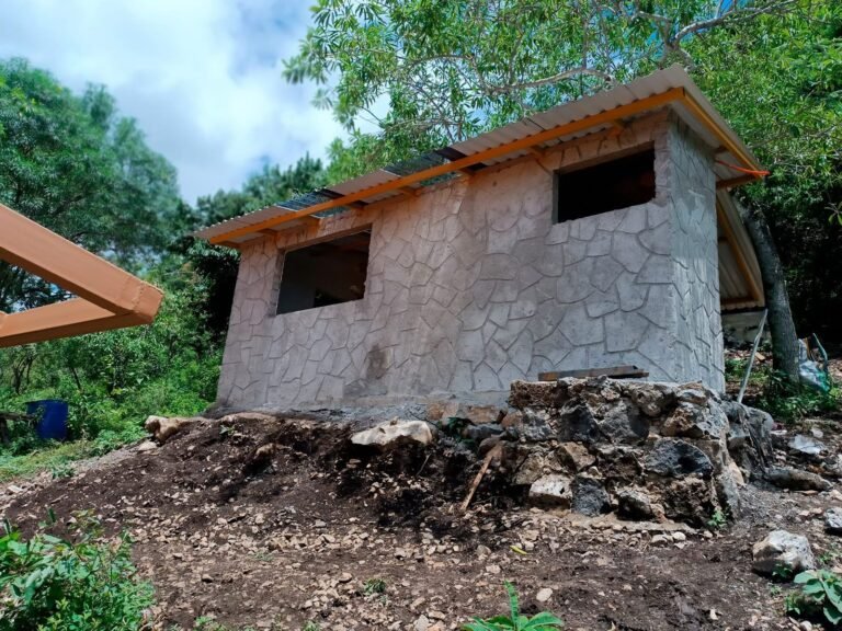 Clausura Profepa obras ilegales dentro del Parque Nacional El Tepozteco