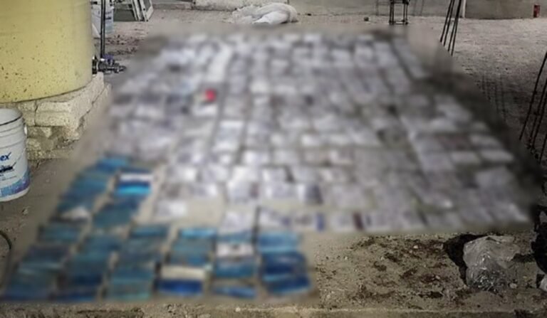 En cateo aseguran más de 300 placas apócrifas