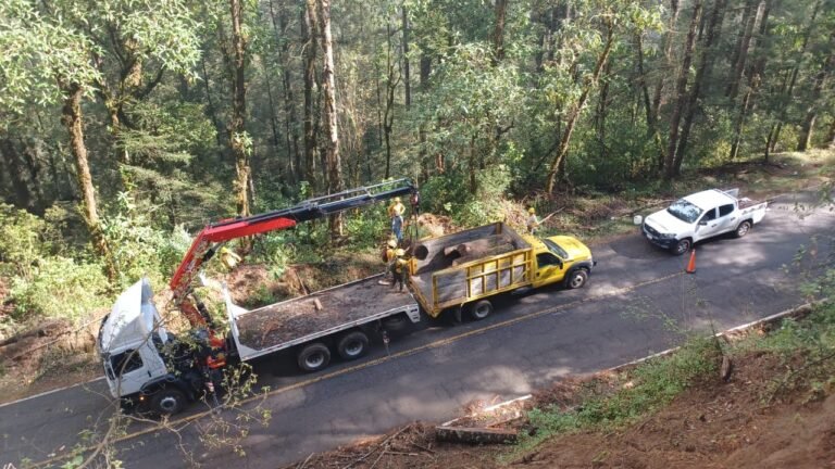 Concluye primera etapa en la prevención de incendios forestales