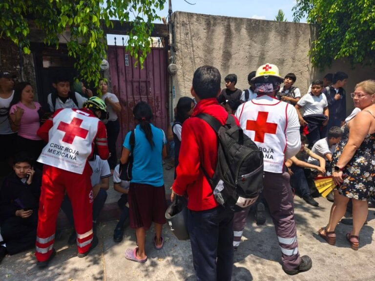 Desalojan a estudiantes por ataque de abejas en Yautepec.