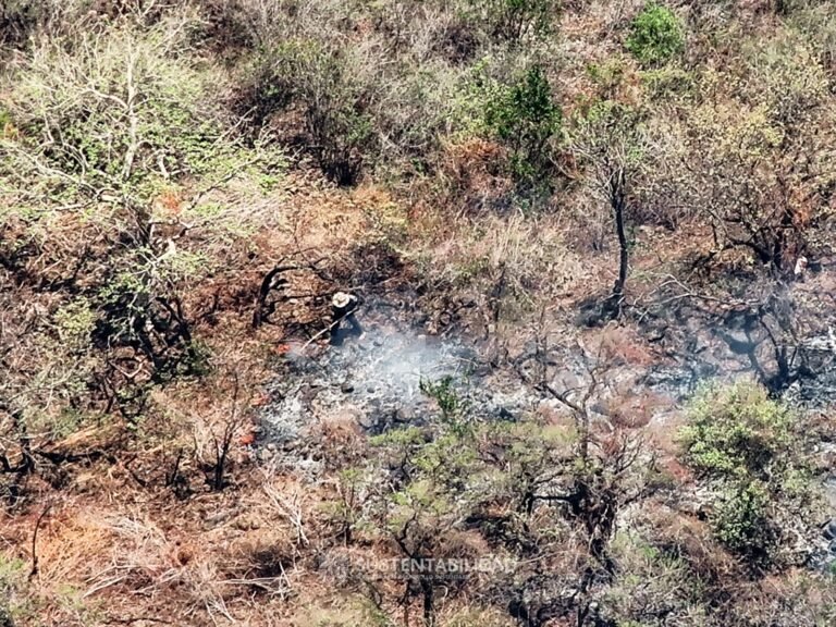 Detectan drones quemas ilegales en área natural protegida